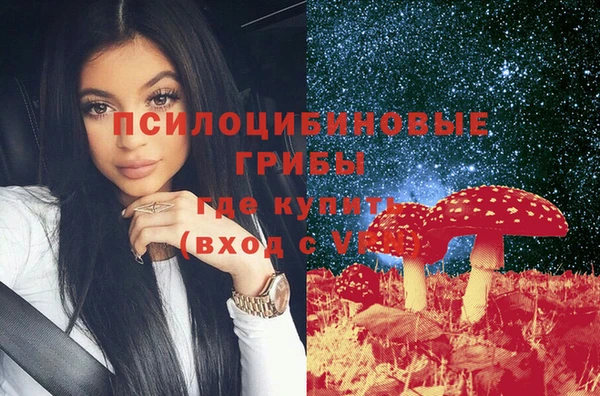 прущая мука Новозыбков